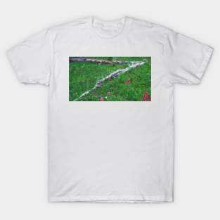 Mountain Meadow  Wildflowers T-Shirt